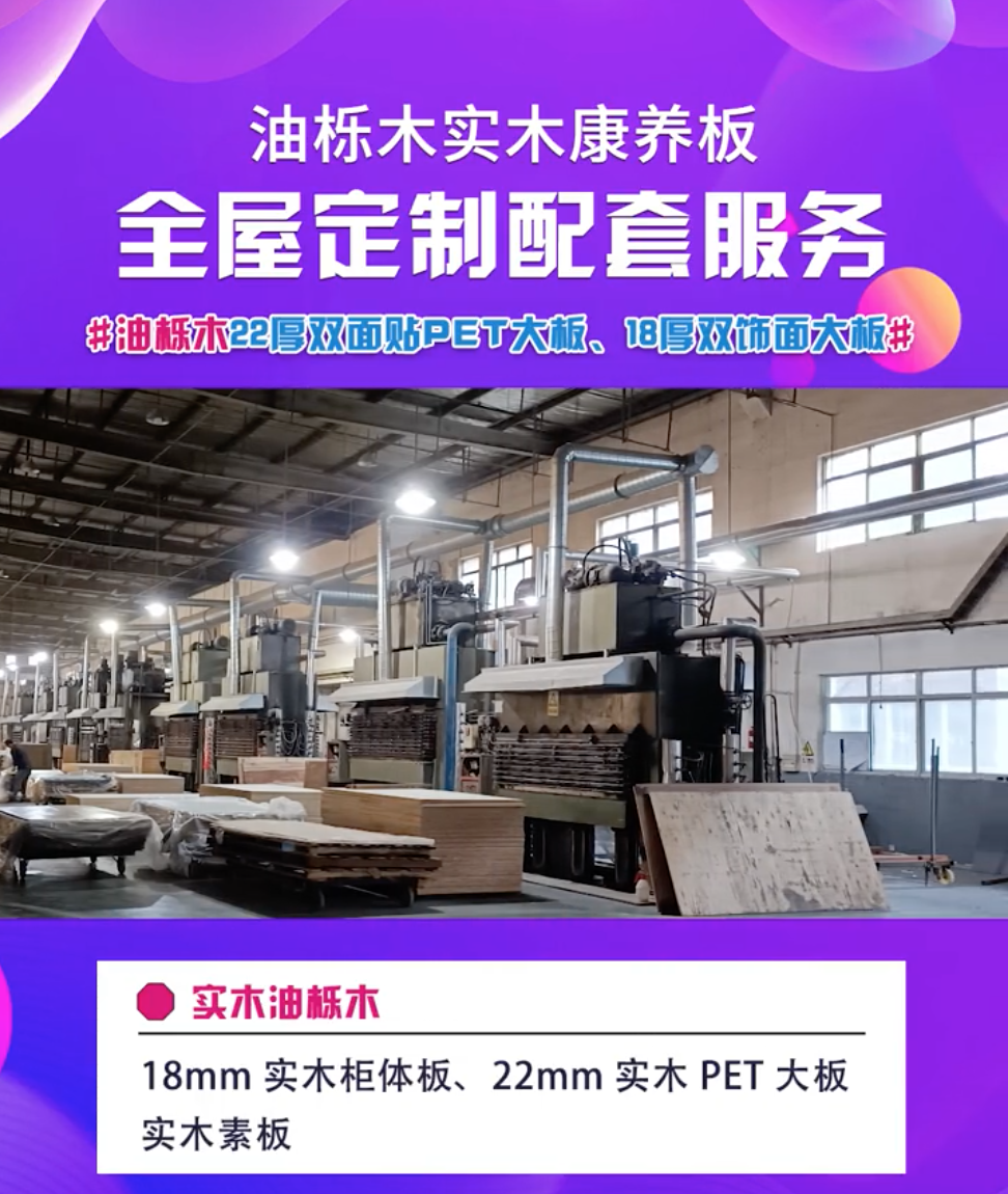 合木木业油栎木生产基地展示